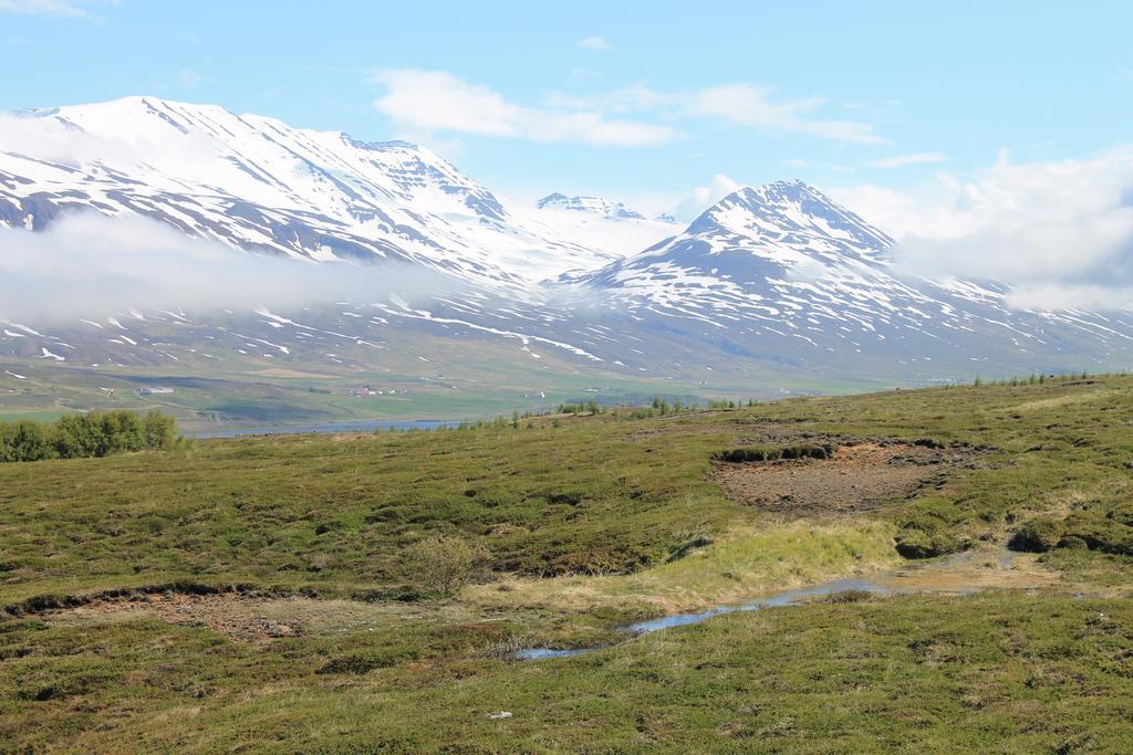 Dalvik Vegamot Cottages Exterior foto
